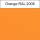 19 Zoll Studio-Rack 3HE 40 CM orange