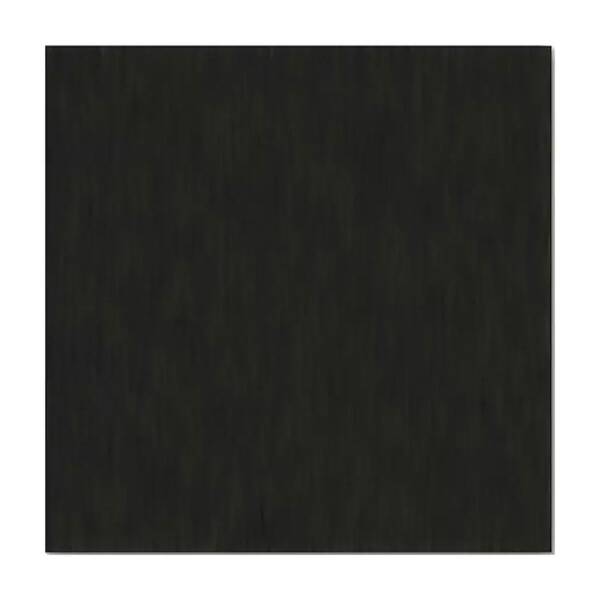 6,5 mm Adam Hall Birkensperrholz 125x80 cm Phenol schwarz