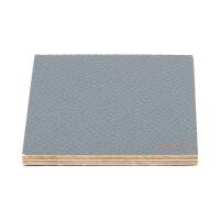 6,8 mm Adam Hall Birkensperrholz 125x80 cm genarbt grau