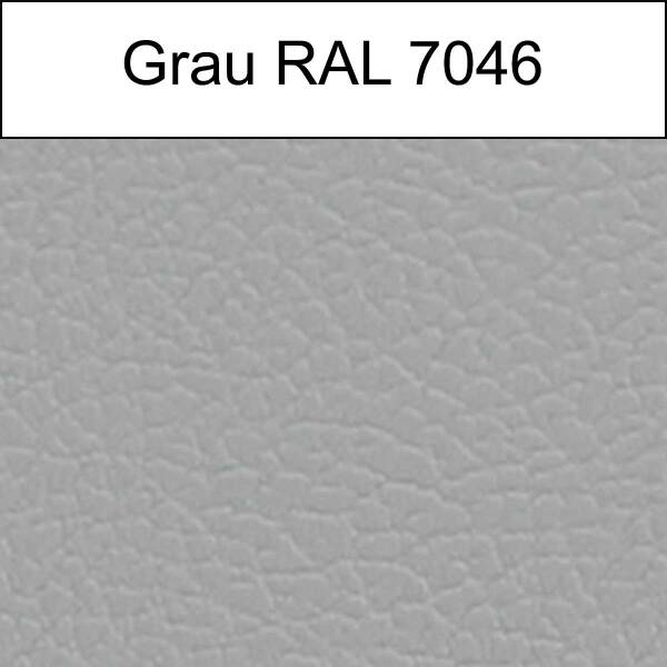 grau (RAL 7046)