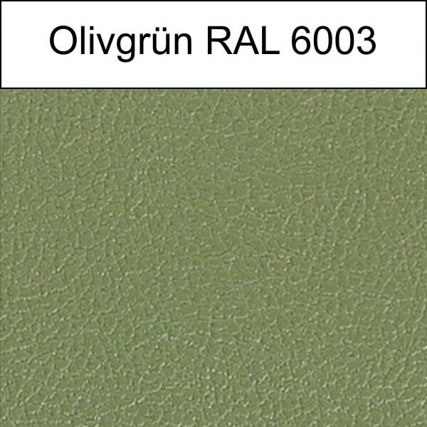 olivgrün (RAL 6003